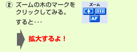②ズームの木のマークをクリックしてみる。すると･･･拡大するよ！