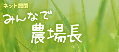 みんなで農場長
