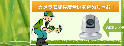 カメラで成長度合いを眺めちゃお！